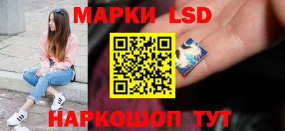 mdpv Бердск