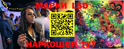 mdpv Бердск