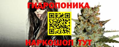 spice Белореченск