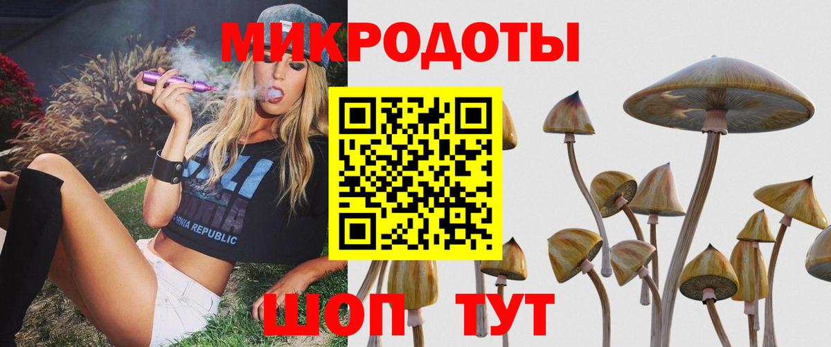 Артём  Псилоцибиновые грибы GOLDEN TEACHER  Вход с VPN 