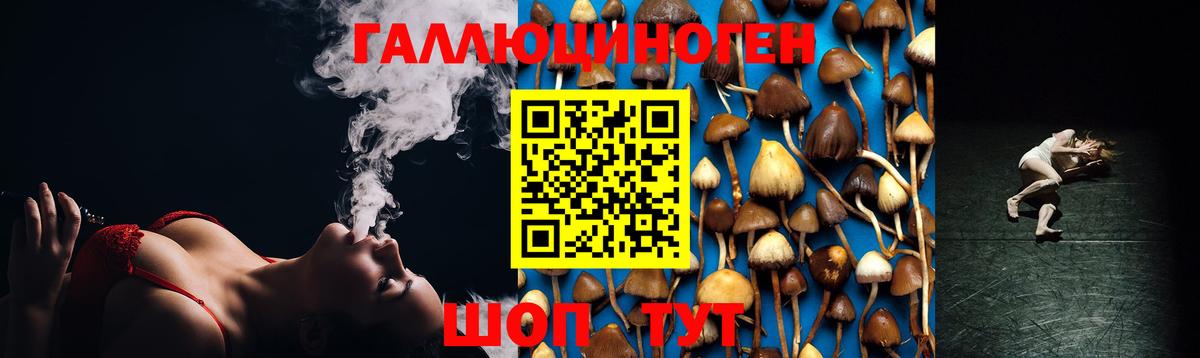 Галлюциногенные грибы Cubensis Артём